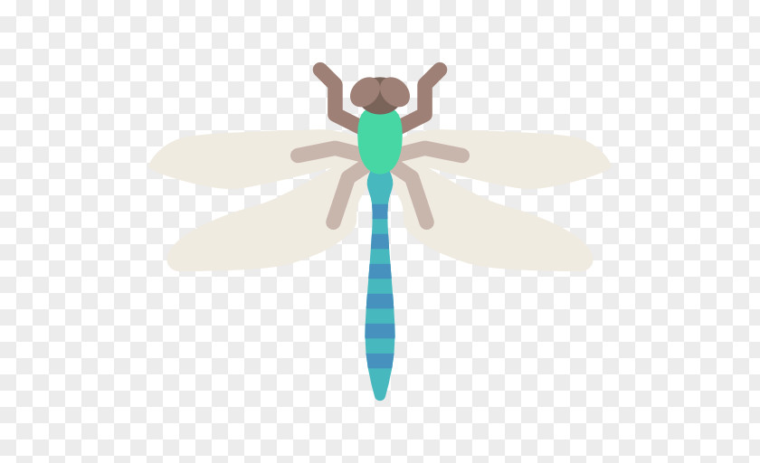 Dragonfly Insect Ape Butterfly Armadillo PNG