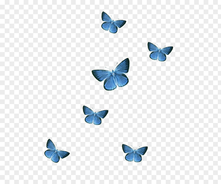 Mid Osmanthus Butterfly Sticker Clip Art PNG