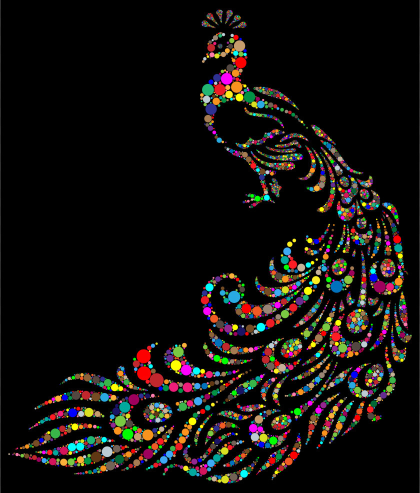 Peacock Bird Peafowl Color Clip Art PNG