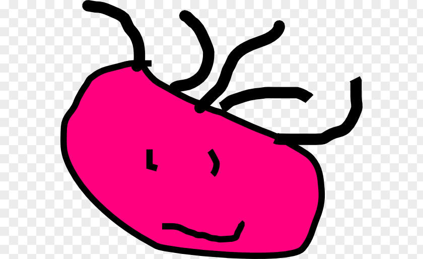 Potato Leaf Organism Pink M Clip Art PNG