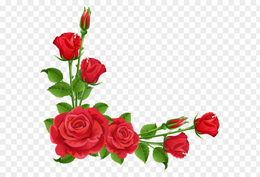 Red Flower Frame Free Download Rose Pink Clip Art PNG