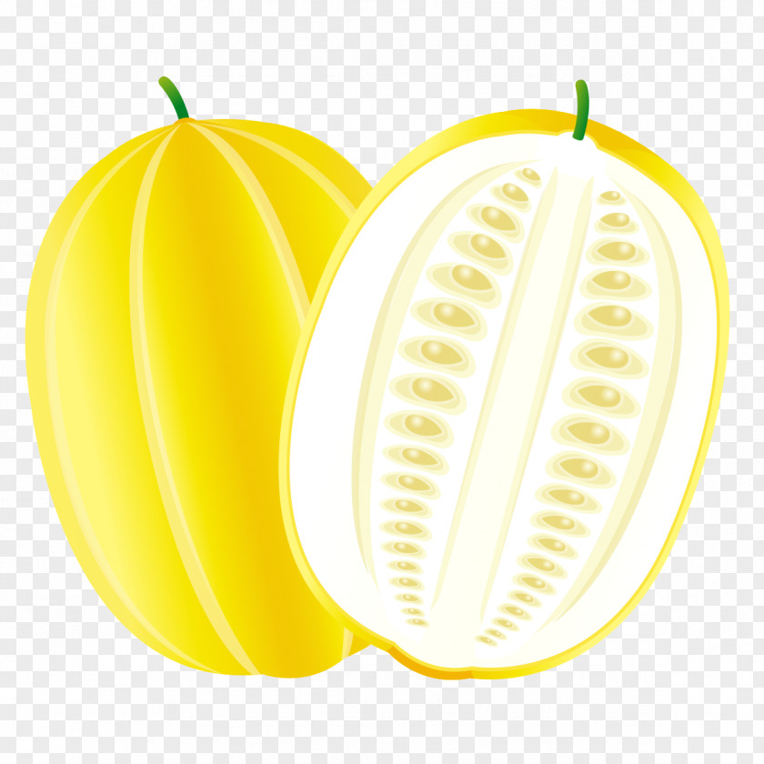 Yellow Melon Fruit Canary Hami Cantaloupe PNG