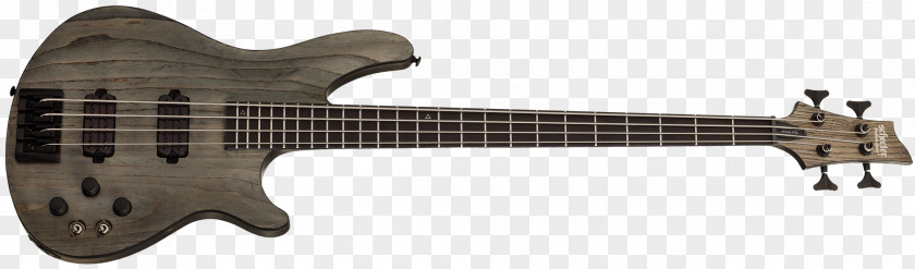 Guitarist Schecter Guitar Research Bass Electric Ibanez PNG