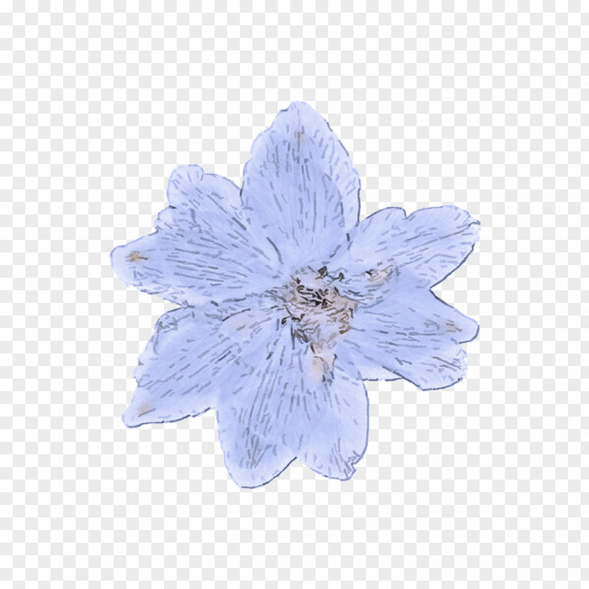 Bellflower Flowering Plant Blue Petal Flower Violet PNG