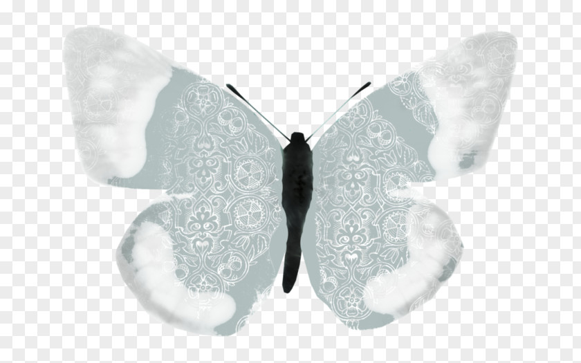 Butterfly Silkworm Insect Moth Pollinator PNG