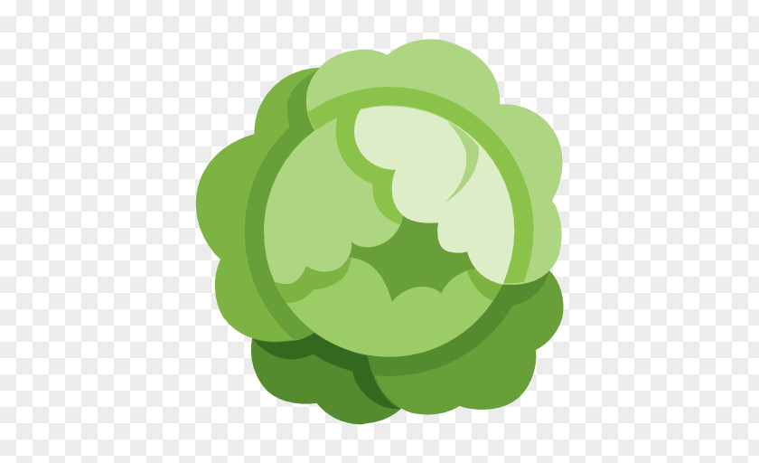 Cabbage Vegetable Food PNG