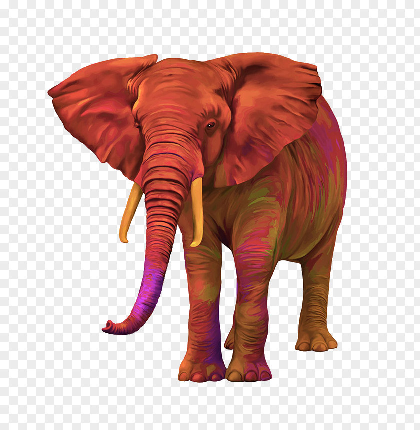Elephant African Bush Clip Art PNG