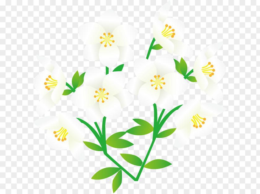 Flower Cut Flowers Floral Design Clip Art PNG