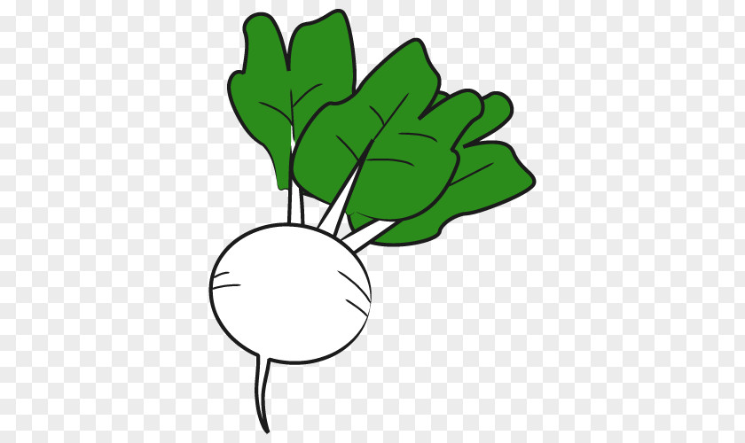 Leaf Twice-cooked Pork Line Art Clip PNG