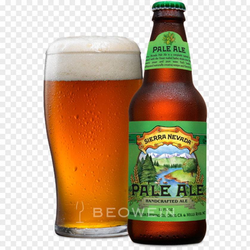 Pale Ale India Sierra Nevada Brewing Company Beer PNG