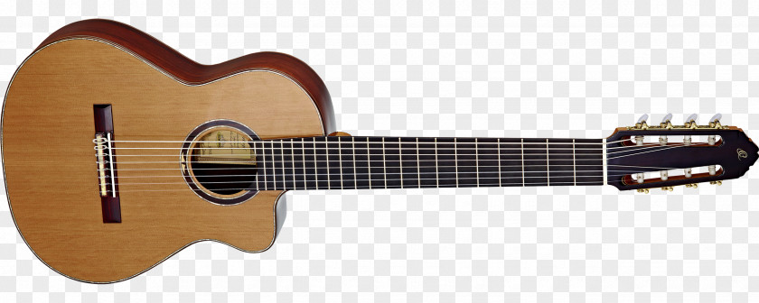 Amancio Ortega Gibson Les Paul Fender Stratocaster Classical Guitar Musical Instruments PNG