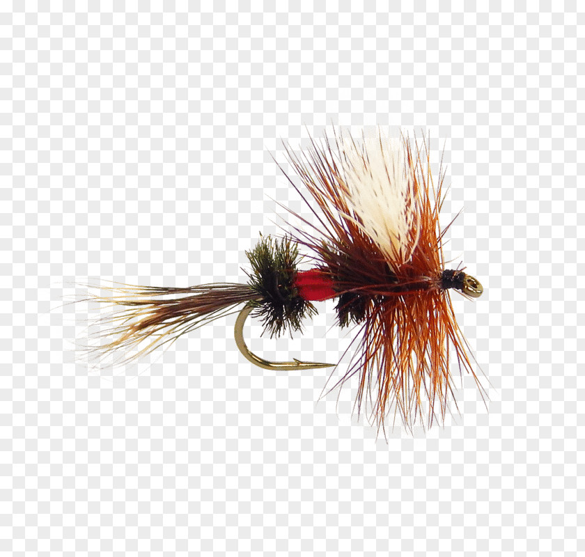 Blue Parachute Artificial Fly Royal Wulff Fishing Coachman PNG