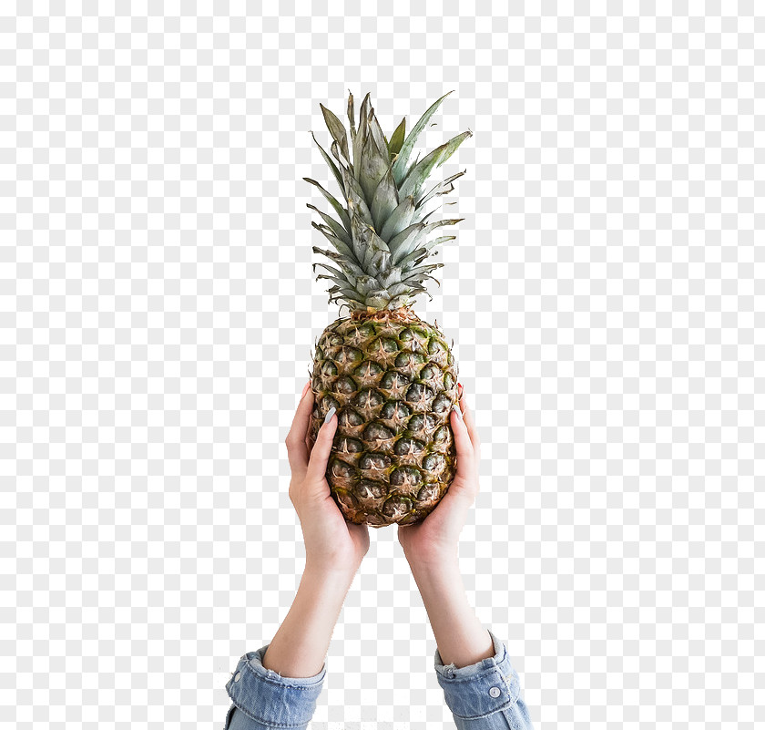 Hands Hold Pineapple Fruit Theme Cherry Wallpaper PNG