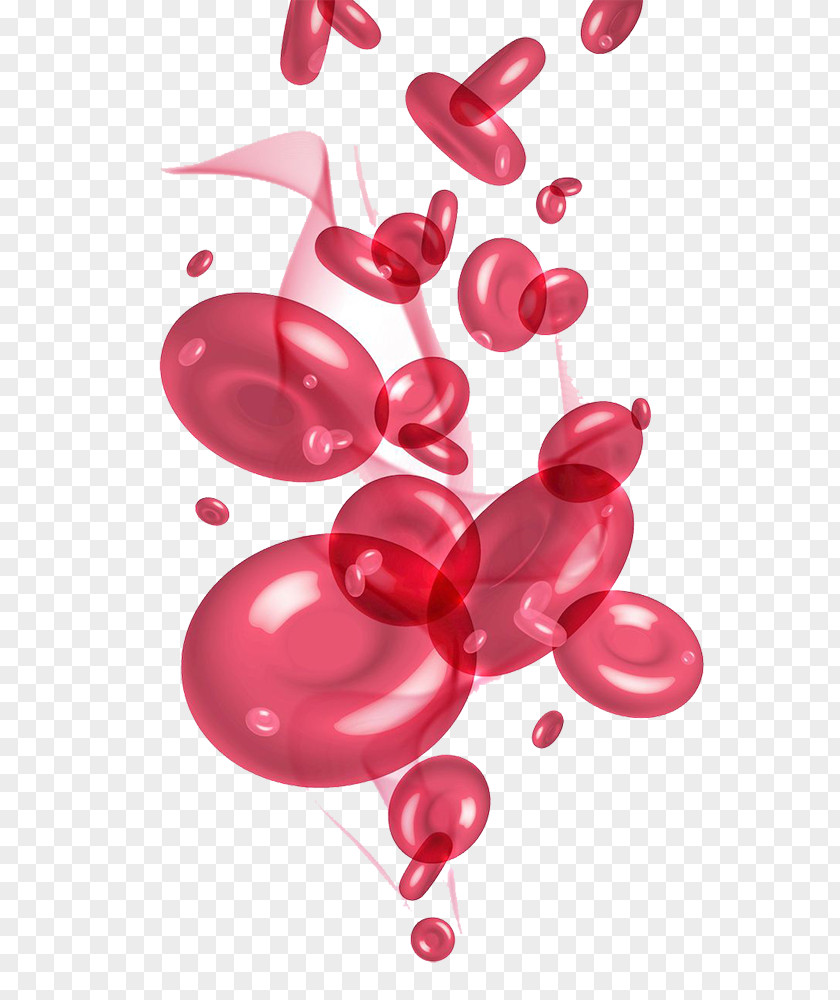 Lovely Red Blood Cell Graphics Plasma Platelet PNG