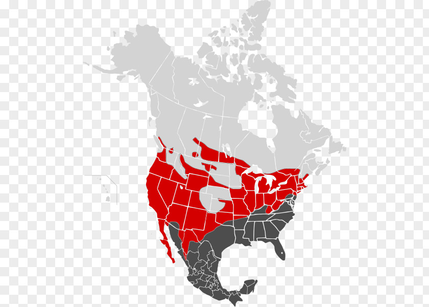 United States Canada–United Border Mexico Map PNG