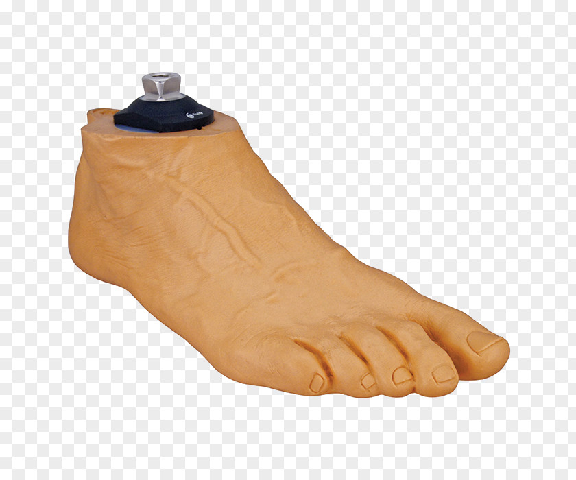 Foot Prosthesis Amputation Toe Heel PNG