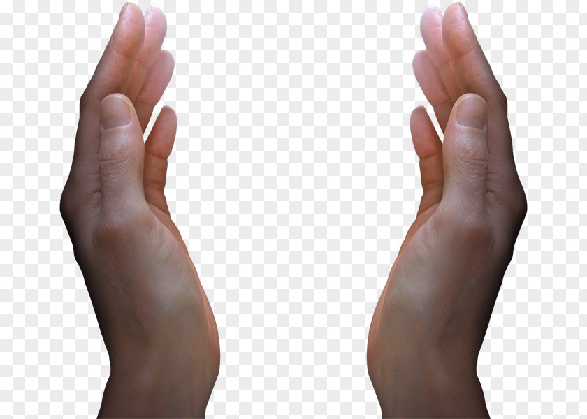 Handshd Hand Thumb Clip Art PNG