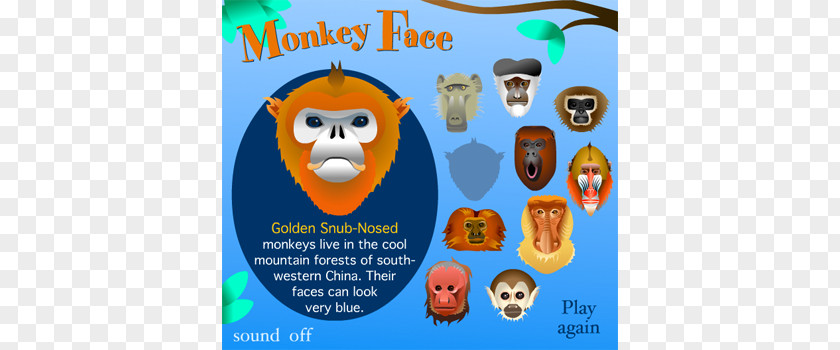 Monkey Face Poster Graphic Design Banner PNG