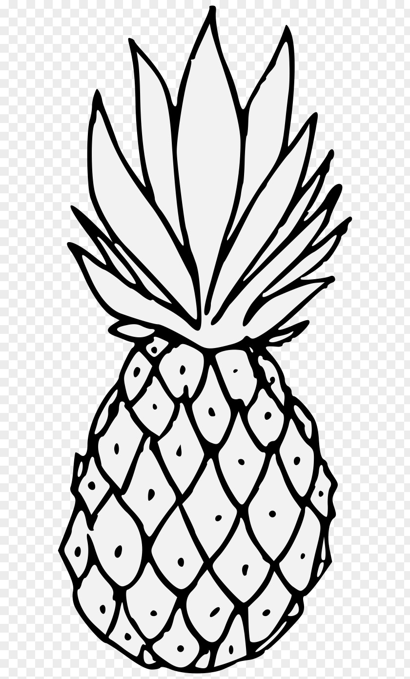 Pineapple Food Drawing Art Clip PNG
