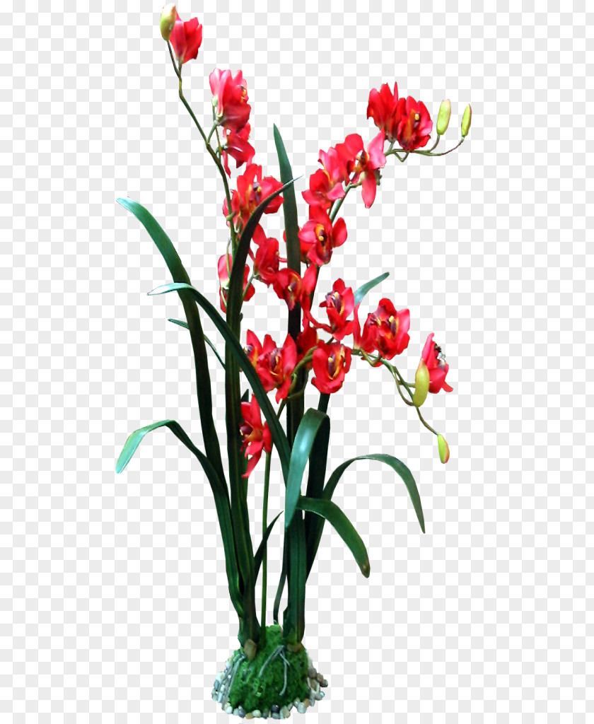 Red Orchid Cut Flowers Google Images Floral Design PNG