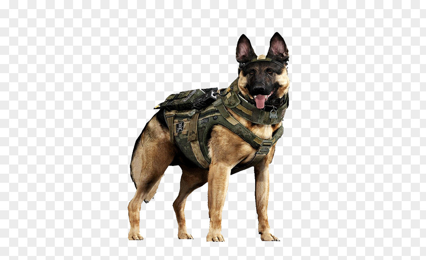 Call Of Duty Duty: Ghosts German Shepherd Malinois Dog Labrador Retriever Black Ops III PNG