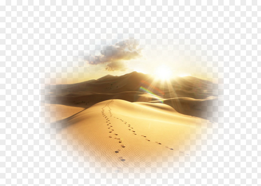 Desert Art Photography Centerblog Clip PNG