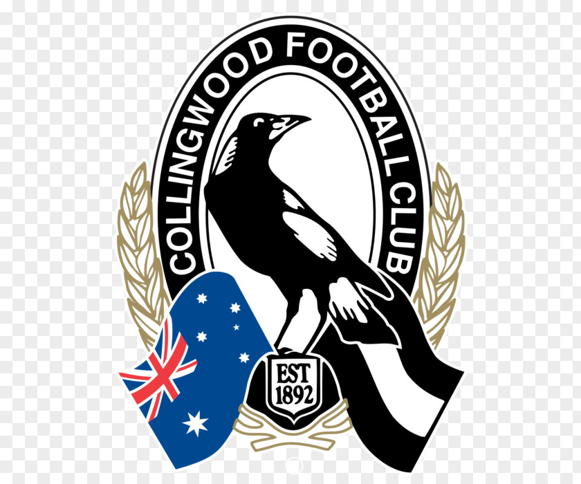 Fedelta Home Care Seattle Collingwood Football Club Australian League Carlton Brisbane Lions Melbourne PNG