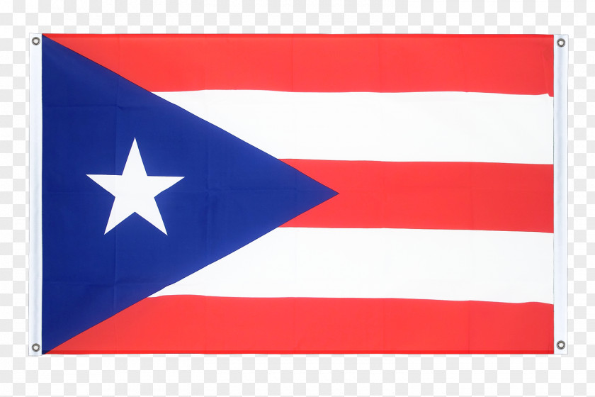 Flag Of Puerto Rico State Indoor US Flags PNG