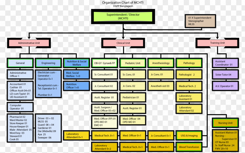 Organization Chart Organizational Structure Diagram PNG