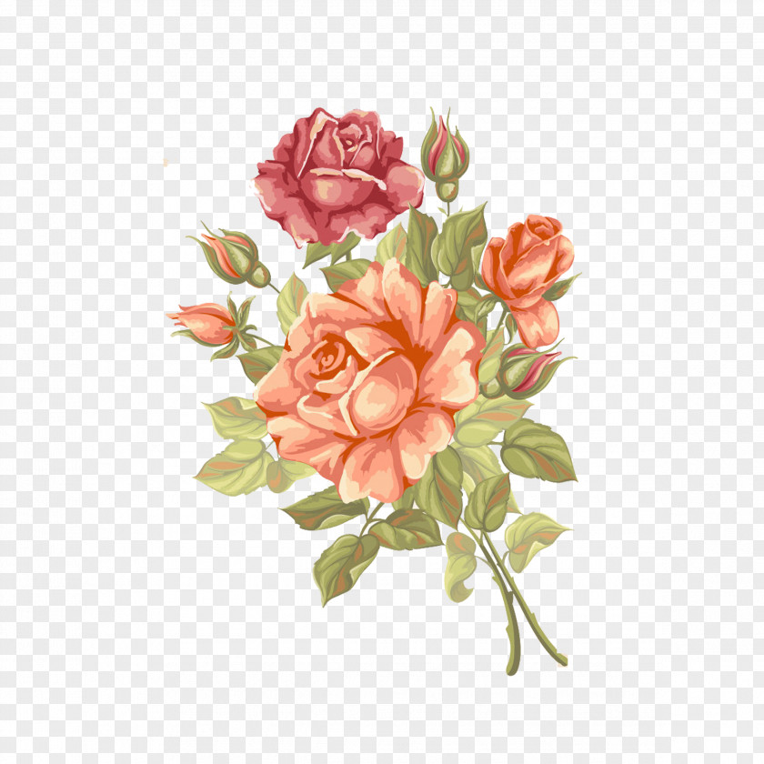 Vintage Roses In Full Bloom Rose Flower Greeting Card PNG