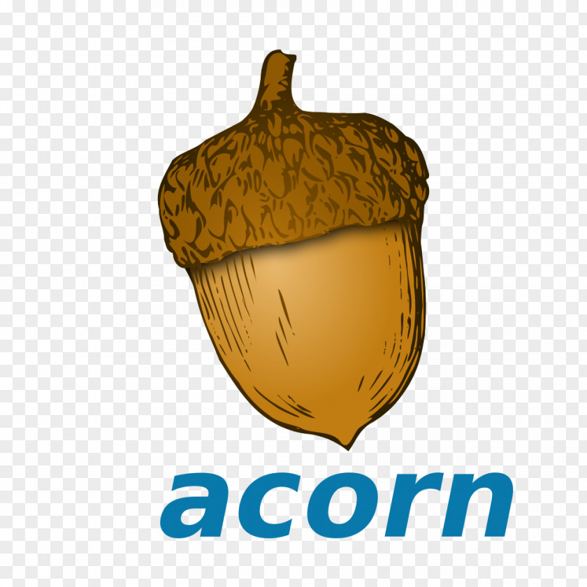 Acorn Clip Art Image Transparency PNG