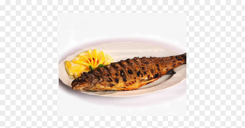 Barbecue Shashlik Trout Meat Atlantic Salmon PNG