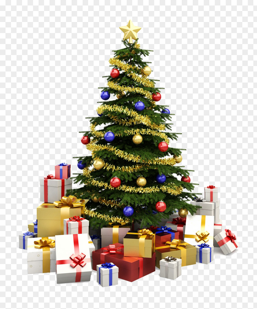 Christmas Tree Stock Photography Decoration PNG