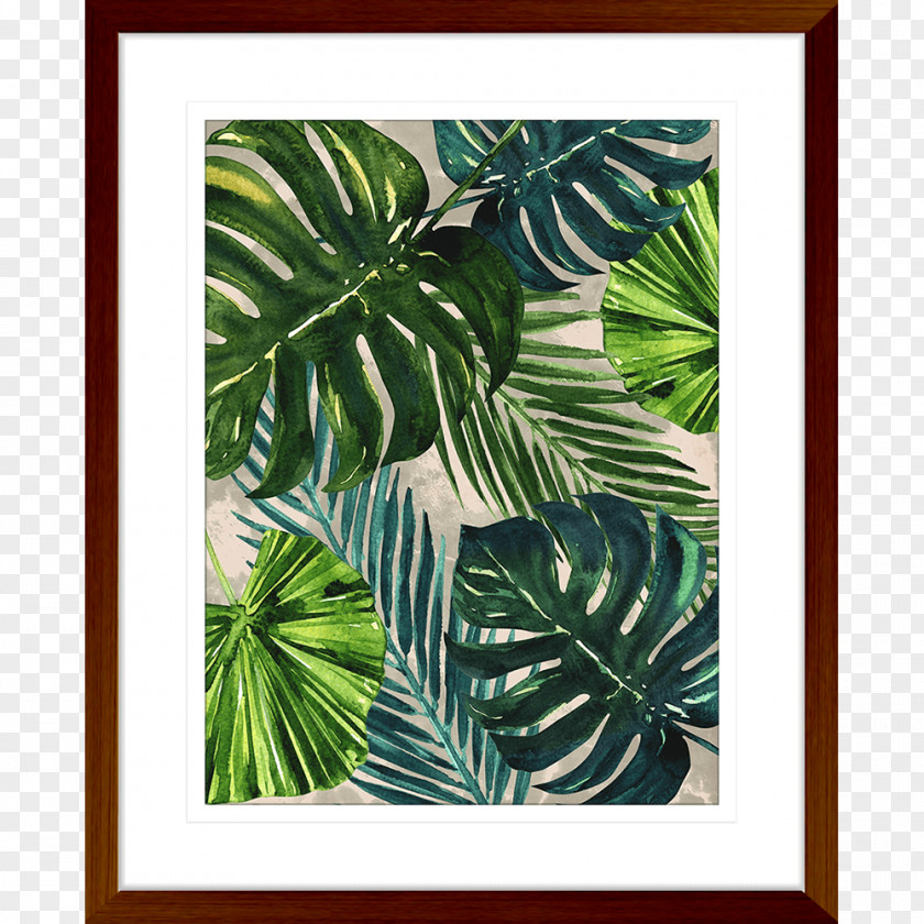Monstera Picture Frames Leaf Plant Tree Pattern PNG