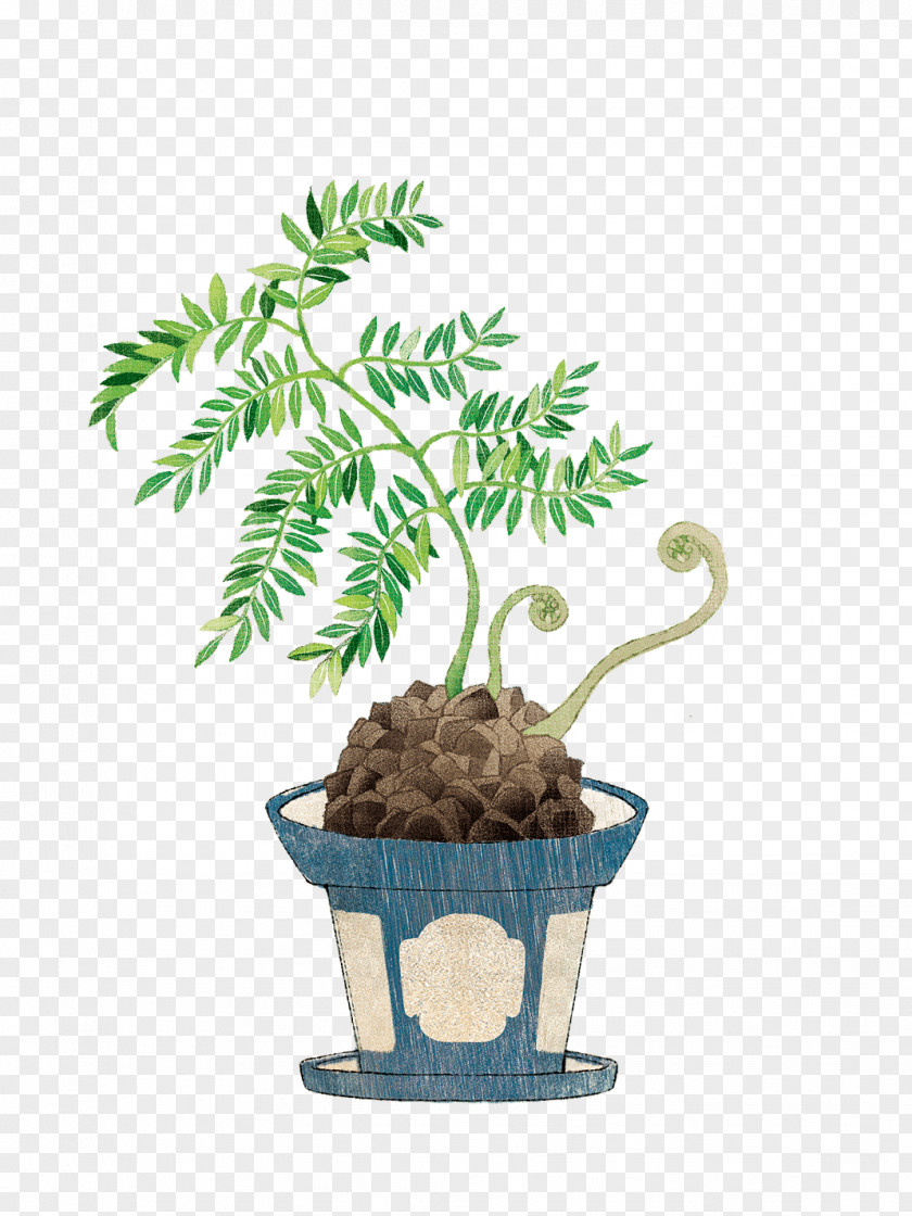 Plants Bonsai Flowerpot Clip Art Image Cartoon PNG