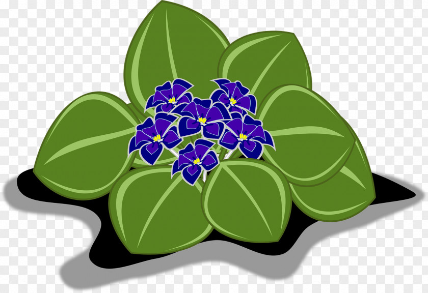 Plants Clip Art African Violets Openclipart Vector Graphics PNG
