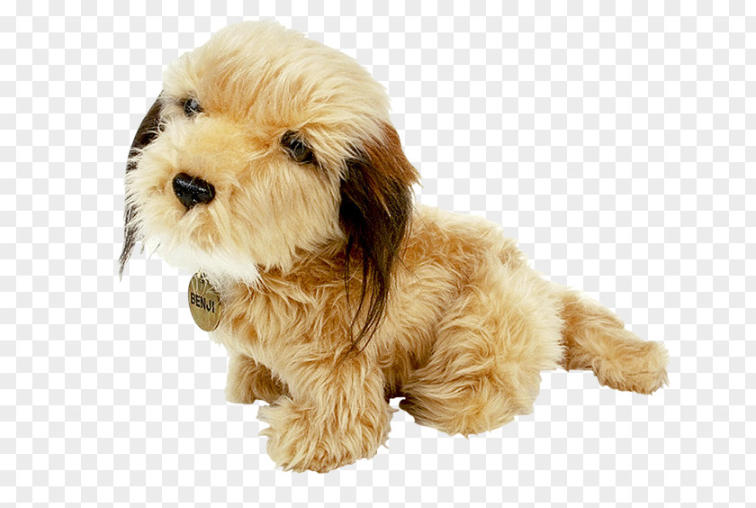 Puppy Cockapoo Dog Breed Poodle Schnoodle PNG