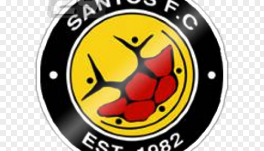 Santos Fc F.C. SAFA Second Division National First Chief Cape Town PNG
