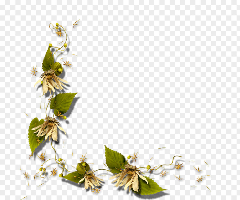 Flowers In Clusters Template Clip Art PNG