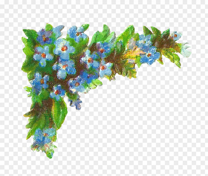 Forget Me Not Flower Clip Art PNG