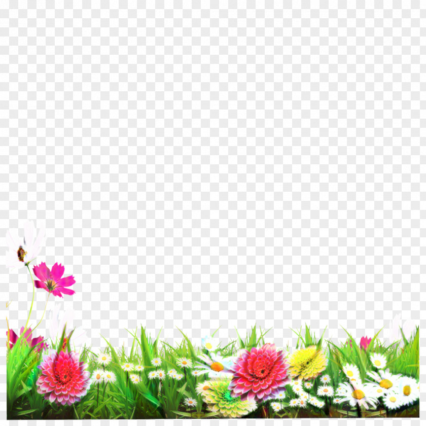 Petal Plant Floral Flower Background PNG