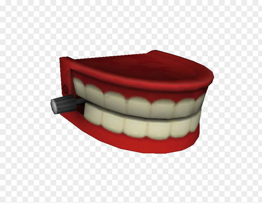 Teeth Model Angle PNG