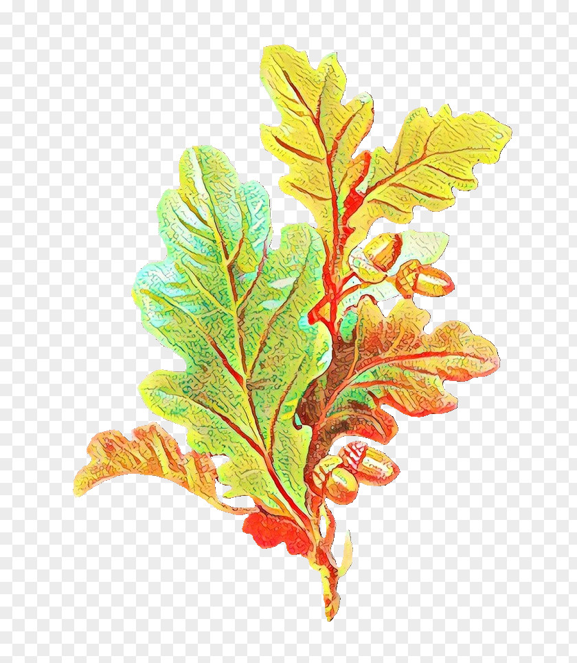 Vascular Plant Flowering Leaf Flower Tree Branch PNG