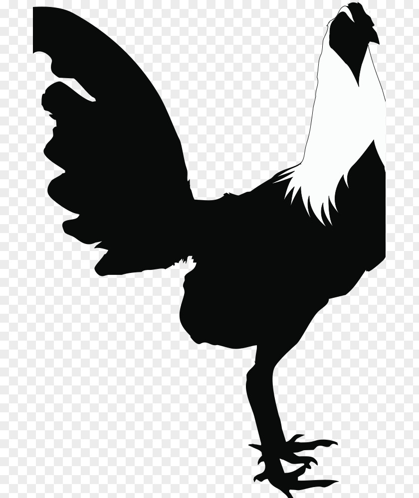 Chicken Rooster Silhouette Black And White Clip Art PNG