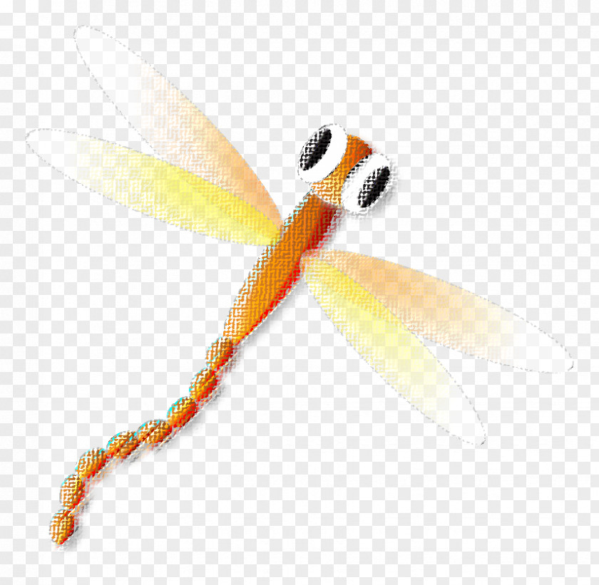 Dragon Fly Logo Insect Food Egg Leftovers PNG