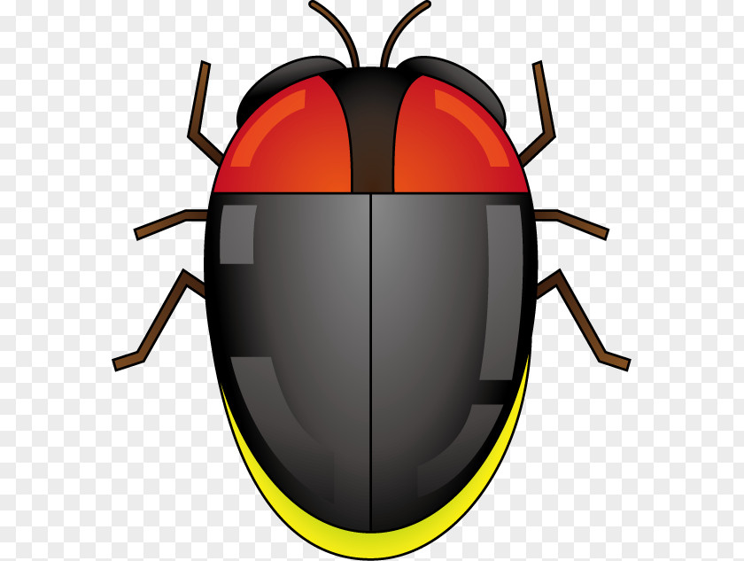 Firefly Insect Beetle Clip Art Product Design PNG