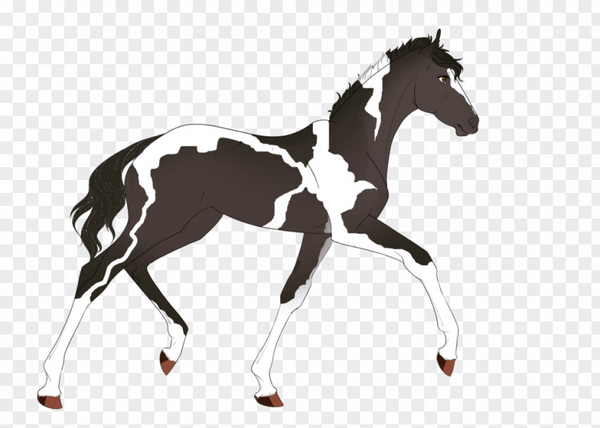 Mustang Stallion Foal Colt Halter PNG