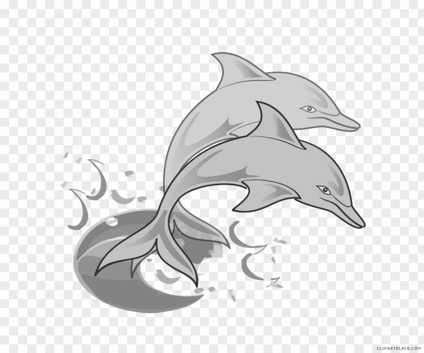 Dolphin Tucuxi Clip Art PNG