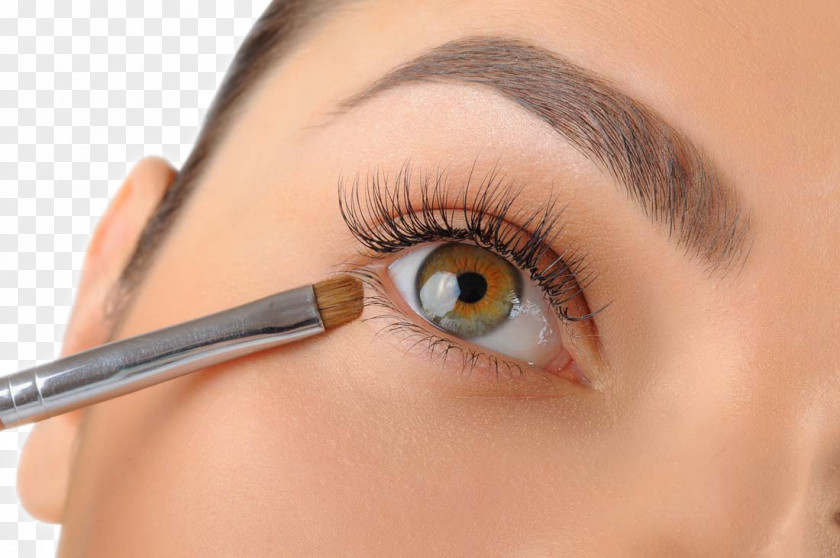 Eye Closeup Eyebrow Cosmetics Shadow Eyelid PNG