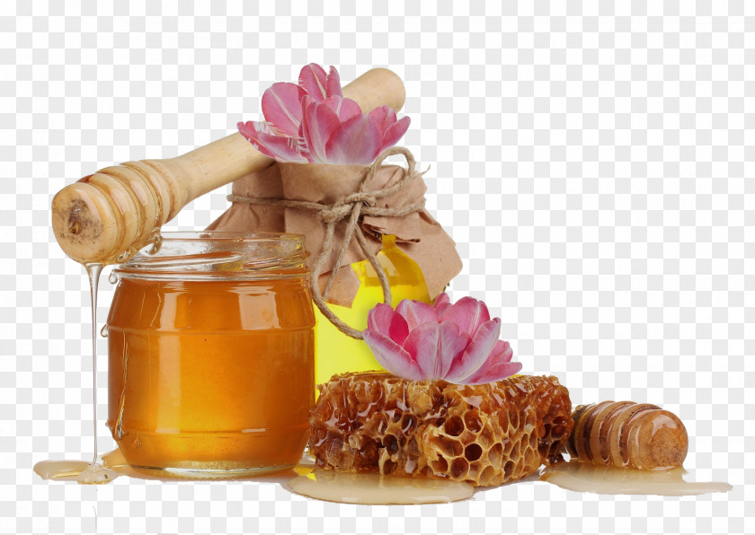 Honey Food Sugar PNG